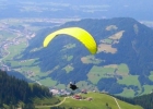 paraglider