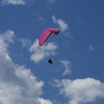 SONY DSC