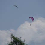 SONY DSC