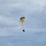 DSCF8675