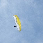 DSCF8690